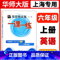 6年级上 英语(增强版) 六年级 [正版]华东师大版一课一练六年级上下册语文数学英语普通版增强版6年级上海沪教版初中教辅