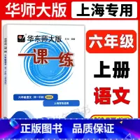 6年级上 语文(增强版) 六年级 [正版]华东师大版一课一练六年级上下册语文数学英语普通版增强版6年级上海沪教版初中教辅