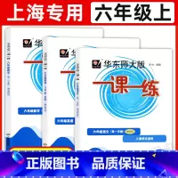 6年级上 语数英(增强版)[3册] 六年级 [正版]华东师大版一课一练六年级上下册语文数学英语普通版增强版6年级上海沪教