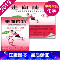 2019中考二模化学+答案 初中通用 [正版]2021年版上海中考一模卷二模卷 领先一步走向成功 语文数学英语物理化学