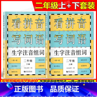 看拼音写词语 2年级上下册 [正版]小学一二三四五年级上下册新编同步默写训练看拼音写词语生字注音组词阅读理解语文识字卡看