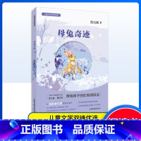 母兔奇迹 [正版]儿童文学双峰优选 母兔奇迹 沈石溪 儿童文学作家联袂对亲情友情生命成长等进行探讨在比较阅读中让孩子获得