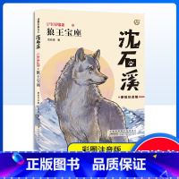 狼王宝座 [正版]狼王宝座彩绘注音版动物小说适合1-3低年级年级阅读儿童文学彩绘注音版小学生课外阅读书籍沈石溪的书短篇小