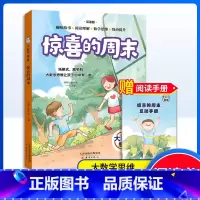 惊喜的周末 [正版]大数学思维-惊喜的周末 小学生课外读物 儿童书籍 帮帮忙童书馆编/新蕾出版社