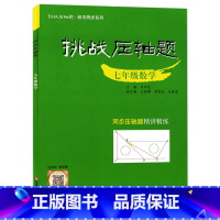 [正版]挑战压轴题 数学 七年级7年级 初中同步系列同步压轴题精讲精练