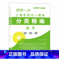 数学 [正版]2020-2021上海市初中一模卷分类精编 数学 上海中考一模卷分类精编 复习用书初一初二初三复习用书 研