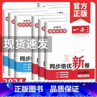 数学 人教版 五年级上 [正版]2024版一本同步培优新卷数学一年级二年级三年级四年级五年级六年级上册数学语文人教版小学