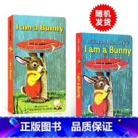经典绘本:我是一只小兔子(送音频) [正版]送音视频I am a bunny绘本我是一只兔子英文原版纸板书iamabun