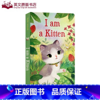 [正版]送音频英文原版绘本I am a Kitten我是一只小猫I am a bunny系列纸板书撕不烂启蒙儿童0-3-