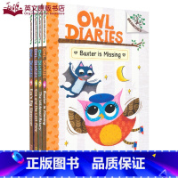 [正版]进口英文原版猫头鹰日记5册套装Owl Diaries#6-10桥梁章节书 Scholastic Branches