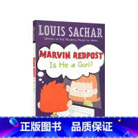 麻烦精马文#3:他是女孩吗? [正版]送音频 英文原版小说Holes 别有洞天1999年纽伯瑞金奖原著小说Louis S