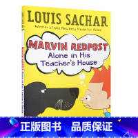 麻烦精马文#4:独自一人在老师家 [正版]送音频 英文原版小说Holes 别有洞天1999年纽伯瑞金奖原著小说Louis