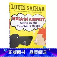 麻烦精马文#4:独自一人在老师家 [正版]送音频 英文原版小说Holes 别有洞天1999年纽伯瑞金奖原著小说Louis