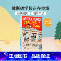 歪歪路小学#2:我们的学校要倒了 [正版]送音频 英文原版小说Holes 别有洞天1999年纽伯瑞金奖原著小说Louis