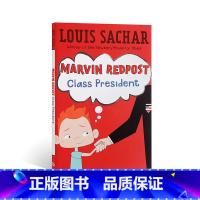 麻烦精马文#5:班长 [正版]送音频 英文原版小说Holes 别有洞天1999年纽伯瑞金奖原著小说Louis Sacha