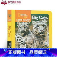 [正版]英文原版绘本 National Geographic Kids Look and Learn: Big Cats