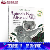 [正版]英文原版Explore Science Animals Born Alive and Well考拉熊 廖采杏书单