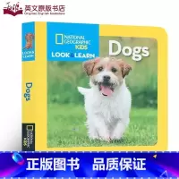 [正版]英文原版绘本 National Geographic Kids Look and Learn Dogs 狗狗品种