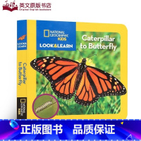 [正版]英文原版绘本 National Geographic Kids Caterpillar to Butterfly