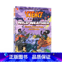 wild weather 暴风雨天气 [正版]英文原版科普读物 科学漫画系列太阳系 Science Comics Sol