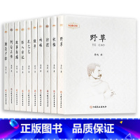 全套十本 [正版]鲁迅全集 小说 孔乙己朝花夕拾故乡阿Q正传狂人日记呐喊彷徨祝福野草 名家散文作品集 23456二三四五
