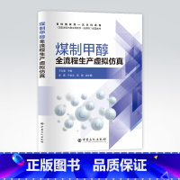 [正版]煤制甲醇全流程生产虚拟仿真 王训遒 主编 煤气化、甲醇、生产工艺、计算机仿真 9787511462435 中国石