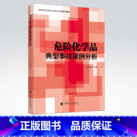 [正版]危险化学品典型事故案例分析 生产安全事故 经营安全事故 储运安全事故 使用安全事故 设备安全事故及其他安全事故