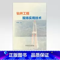 [正版]钻井工程现场实用技术 适用于钻井技术人员培训和自学 中国石化出版社