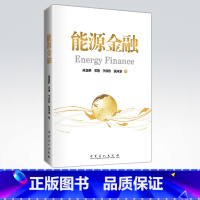 [正版]能源金融 Energy Finance 中国石化出版社 9787511432629
