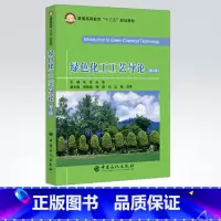[正版] 绿色化工工艺导论(第2版)包括绿色化学清洁生产和绿色工艺技术 化工模拟 新能源 新材料和高分子工艺方法 中国石