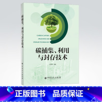 [正版]碳捕集、利用与封存技术 二氧化碳,收集,研究,利用,保藏,碳捕集,封存 中国石化出版社 9787511459