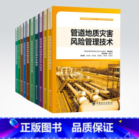 [正版]全10册 管道修复技术 完整性与适用性评价技术 效能评价技术 系统平台技术 管理体系建设 安全保障与应用建设期