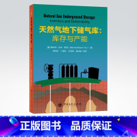 [正版]天然气地下储气库:库存与产能 可用于研究生和本科生教学、研究、咨询和专家认证工作 中国石化出版社