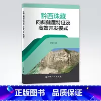 [正版]黔西珠藏向斜储层特征及高效开发模式 非常规能源 煤层气 压裂 开采 可供石油开发行业从业者参考阅读 中国石化