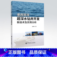 [正版] 墨西哥湾超深水钻井开发新技术及实例分析 9787511451330 中国石化出版社