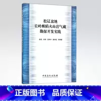 [正版]松辽盆地长岭断陷火山岩气藏勘探开发实践 描述和总结华东分公二十余年在松辽盆地南部长岭断陷开展火山岩勘探开发实践