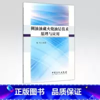 [正版]稠油油藏火烧油层技术原理与应用 石油天然气 稠油开采 火烧油层(知识全面,语言叙述流畅,图文并茂,理论联系实践)