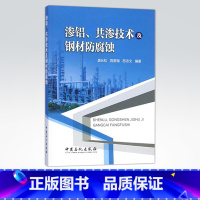 [正版]渗铝、共渗技术及钢材防腐蚀 可供石化过程装备与控制的专业技术人员、管理人员及设备腐蚀与防护的设计、科研人员使用