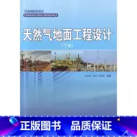 [正版]天然气地面工程设计(下卷)中国石化出版社