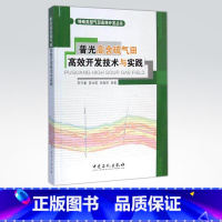 [正版]普光高含硫气田高效开发技术与实践 特殊类型气田高效开发丛书 总结高含硫气田高效开发的实践和技术成果 中国石化出