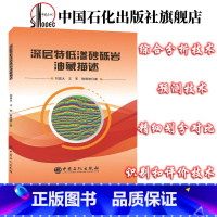 [正版]深层特低渗砂砾岩油藏描述 关键技术和方法 油气田开发领域的科研技术人员及相关专业师生 中国石化出版社