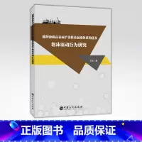 [正版]缝洞油藏高表面扩张模量起泡体系构建及泡沫流动行为研究 油气田开发、油田化学等领域的工程技术人员、科研人员
