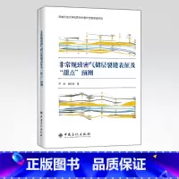 [正版]非常规致密气储层裂缝表征及“甜点”预测 可供石油地质企业、高校及研究院工作者、石油地质专业高校学生参阅