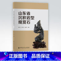 [正版]山东省沉积岩型观赏石 沉积岩 观赏石 鉴赏 石鉴赏的发展观赏石形成观赏石特征 观赏石开发