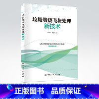 [正版]垃圾焚烧飞灰处理新技术 环保,垃圾回收,飞灰处理 可供环保相关行业从业人员参考阅读 中国石化出版社