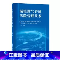 [正版]城镇燃气管道风险管理技术 中国石化出版社