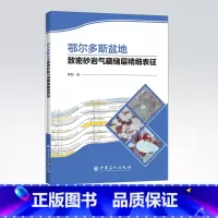 [正版]鄂尔多斯盆地致密砂岩气藏储层精细表征 鄂尔多斯盆底,致密砂岩气藏,储层表征,储层精细表征 97875114572