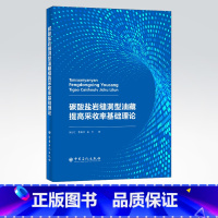 [正版]碳酸盐岩缝洞型油藏提高采收率基础理论 储集层 油气勘探 油气藏 油气藏开发与提高采收率人员 中国石化出版