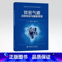 [正版]致密气藏沉积特征与储层预测 可供从事油气勘探与开发的科研人员参考使用,也可供从事相关专业的高等院校师生参阅