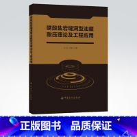 [正版]碳酸盐岩缝洞型油藏酸压理论及工程应用 碳酸盐岩、酸压、提高采收率 可供石油工程行业从业者参考阅读 中国石化